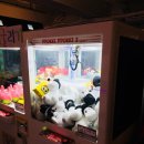 세븐 성인게임장 이미지