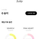 2ulip 튤립 소개팅 어플 내돈내산 솔직 후기 (광고X 협찬X)