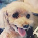 루비상회4