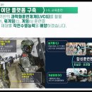 타이거순