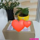 웰빙365다이어트 이미지