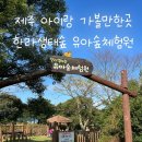 제주 한라생태숲 유아숲체험원 모래놀이 (+주차, 무료관광지)