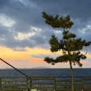 만선횟집 이미지