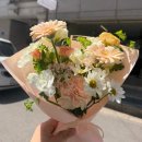 수선나라119