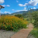 합천호 그리다 이미지