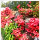 전원회관 이미지