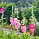 오즈스윗홈 이미지