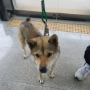 선산대로10-18 이미지