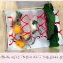 대교초교(병설) 이미지