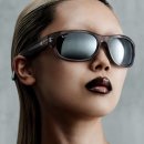 메타로라 이미지