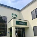 금성면 농공단지 | 담양카페 다시 방문하고 싶은 '담순로153' | 타로카드를 볼 수 있는 디저트맛집