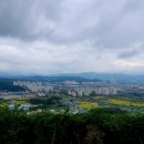 제천시내 전경 이미지