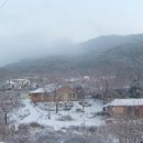 인디유