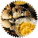 7시30분 왕십리 조개창고 털러 가실분 이미지