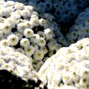 평화공원 이미지