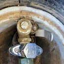 리빙워터(Living water) 이미지