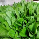 삼보로1L 이미지