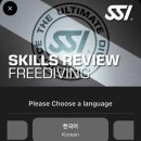 제2회 봄 페스티벌 | 2025년 제2회 SSI 페스티벌 후기 - SSI 단체를 소개합니다