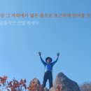 글나라출판사