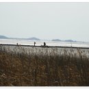 지내섬