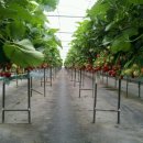 기두농장 이미지