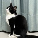 와인 소믈리에[A반] | 드디어 간다! 애틀랜타로!! 대한항공 프레스티지석으로 출장 간 후기~