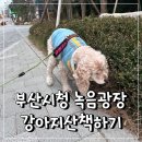 일자산자연공원(잔디광장옆) | 부산강아지산책 부산시청 녹음광장공원