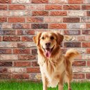 멍클스튜디오 이미지