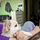 리노프레쉬 이미지