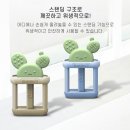 선인장디자인