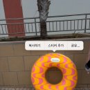예림슈퍼마켓 | [교환 여행 일기 #8] 🌹🏝️🌅 스페인 바르셀로나+테네리페 4박5일 {유럽에서 조성진 보기, 까탈루냐 음악당...