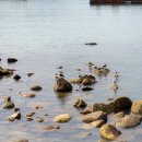 이동 원천마을 이미지