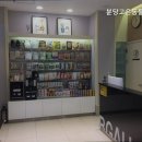 분당 고은 동물병원 네이버블로그