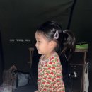 동그란 멍멍이 이미지