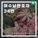 여수여행 낭만포차거리 삼합 딱새우회 먹고 온 솔직후기