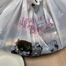 두찜 까만찜닭(간장찜닭) 치즈추가 배달후기(할인쿠폰 적용)