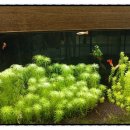 증평수족관 이미지