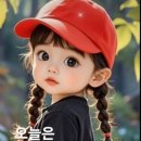 수원시 팔달구 향교로 이미지