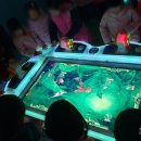 나나어린이집 이미지