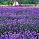 덕호농장 이미지