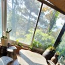 진부령황태구이 이미지