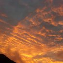 이은형농장 이미지