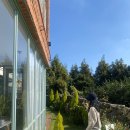 제주써니 이미지