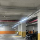 김포한강 10로 133번길 | [김포 구래동] 속눈썹 맛집 헤이뷰티 LED 펌포인트 연장 후기