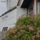 세븐일레븐 연기당산점 | 카페일랑일랑 세종 라떼 추천