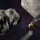 디디모스 이미지