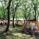 별빛숲캠핑바베큐 이미지