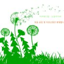 황룡숯닭갈비막국수