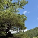 휘게 | 🌿 휘게포레스트 A14 후기｜가족캠핑하기 좋았던 숲속 사이트
