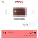 와이에스제이